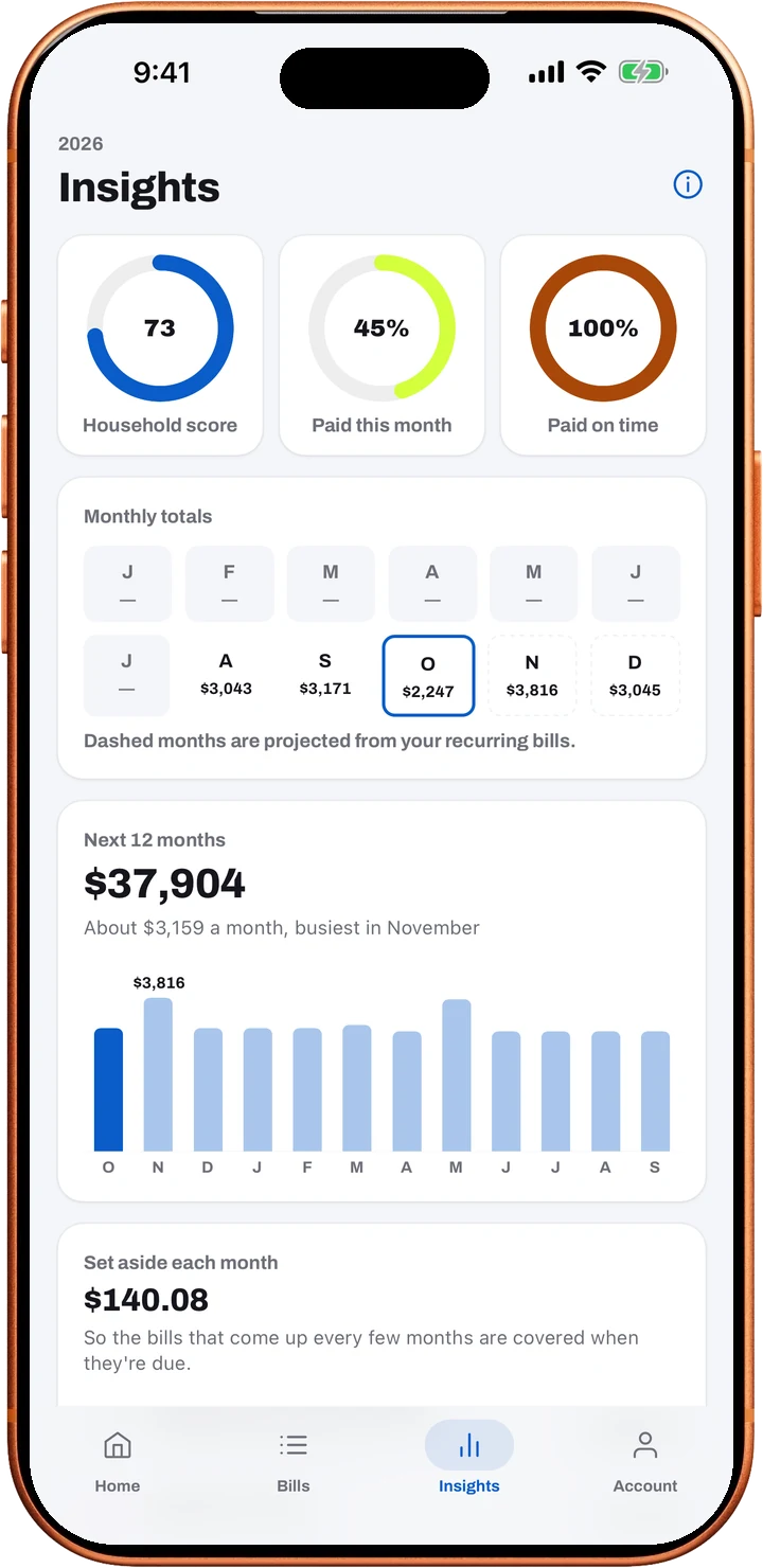 Loulen's Insights with household score, paid this month and paid on time rings